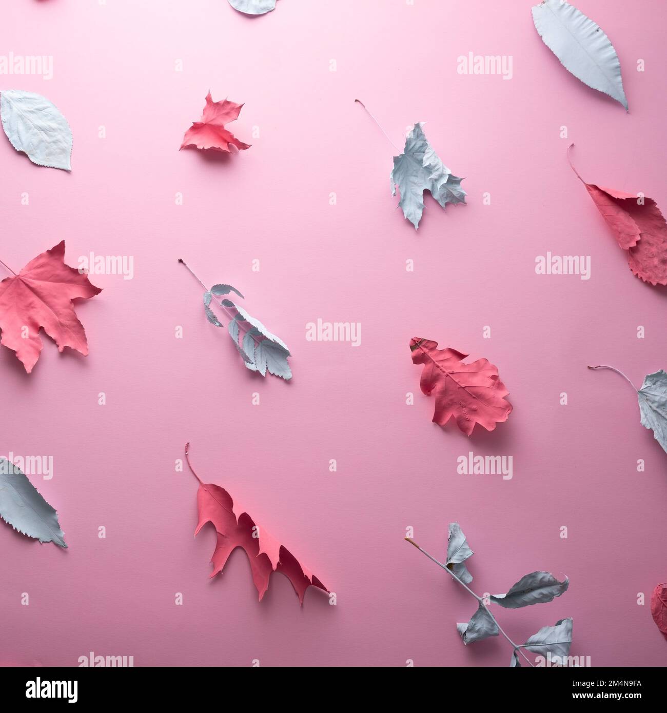 autumn leaves blue pink creative pattern paint. Stock Photo