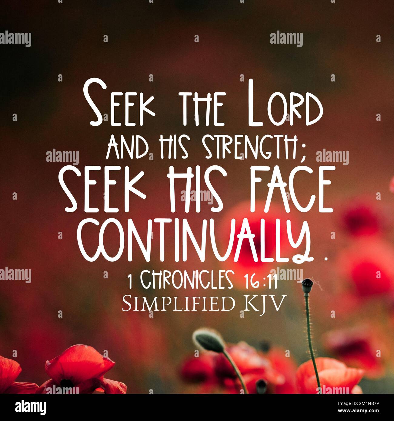 1 Chronicles 16 11 Seek The Lord And His Strength Seek His Face 1-chronicles-16-11-seek-the-lord-and-his-strength-seek-his-face