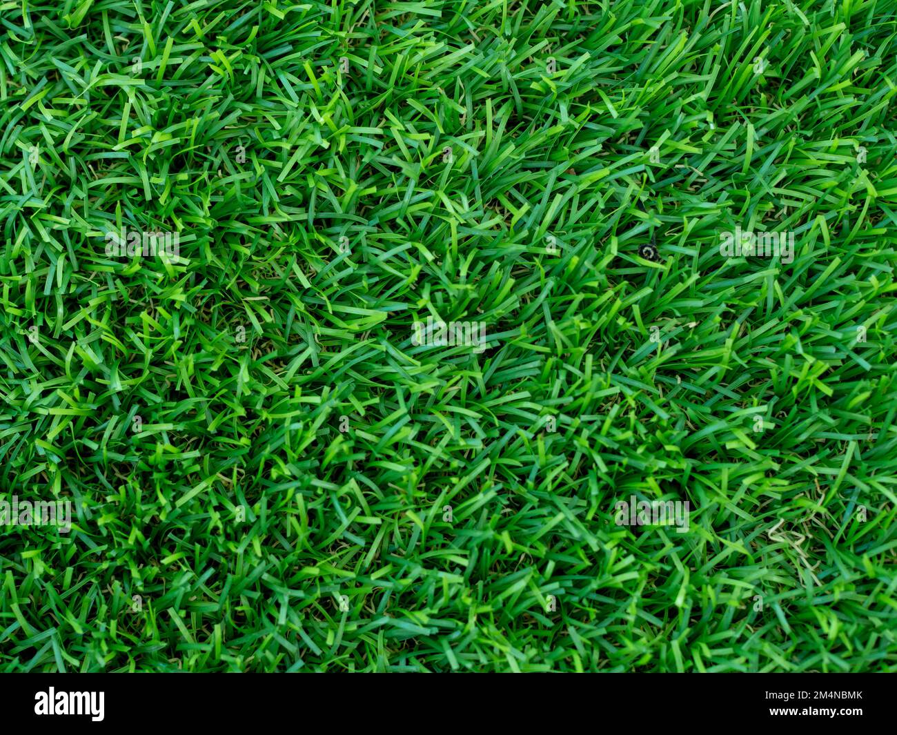 artificial green grass using for background or texture Stock Photo