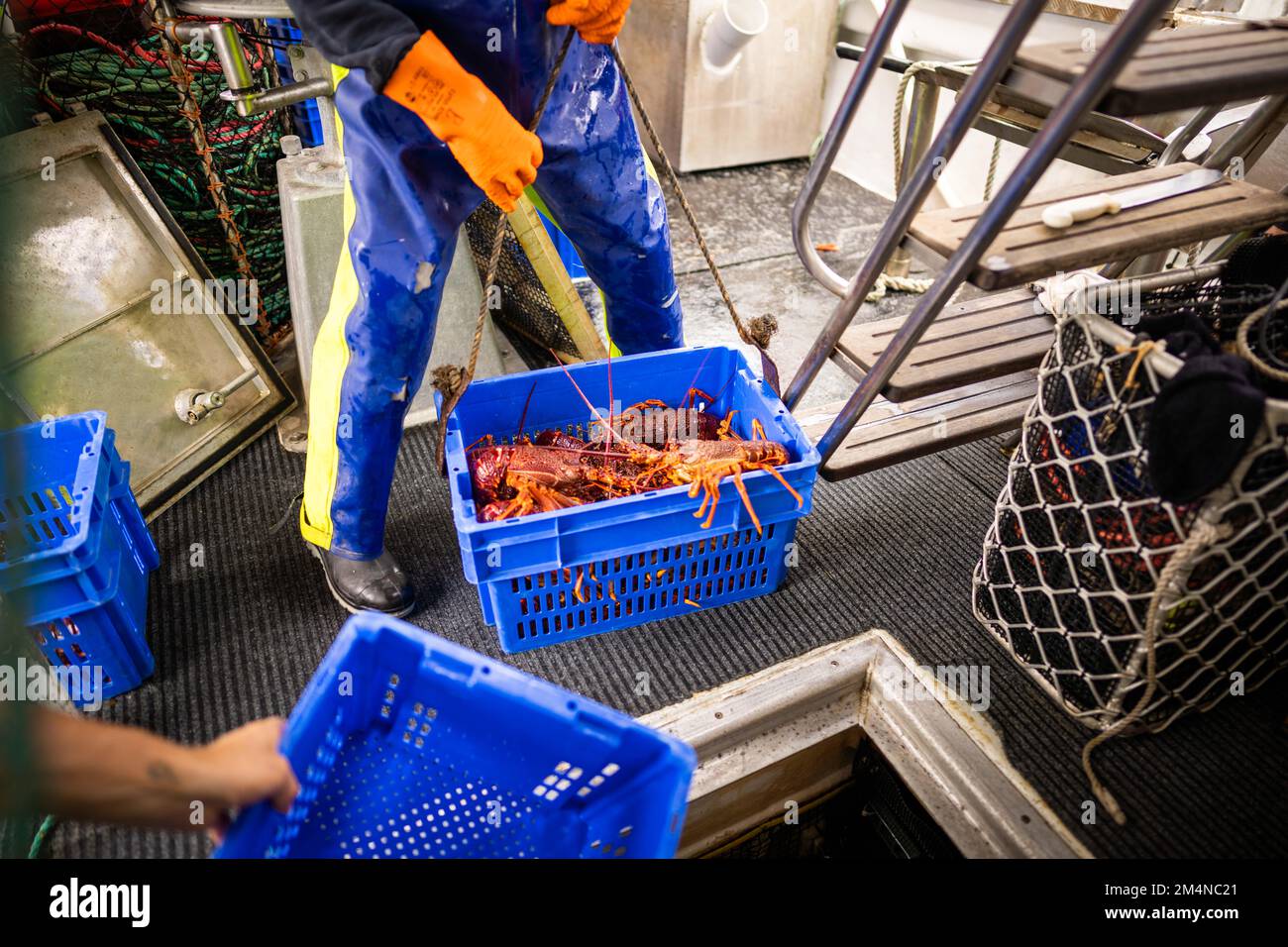 fish market with fish and crustations. seafood in australia Stock Photo