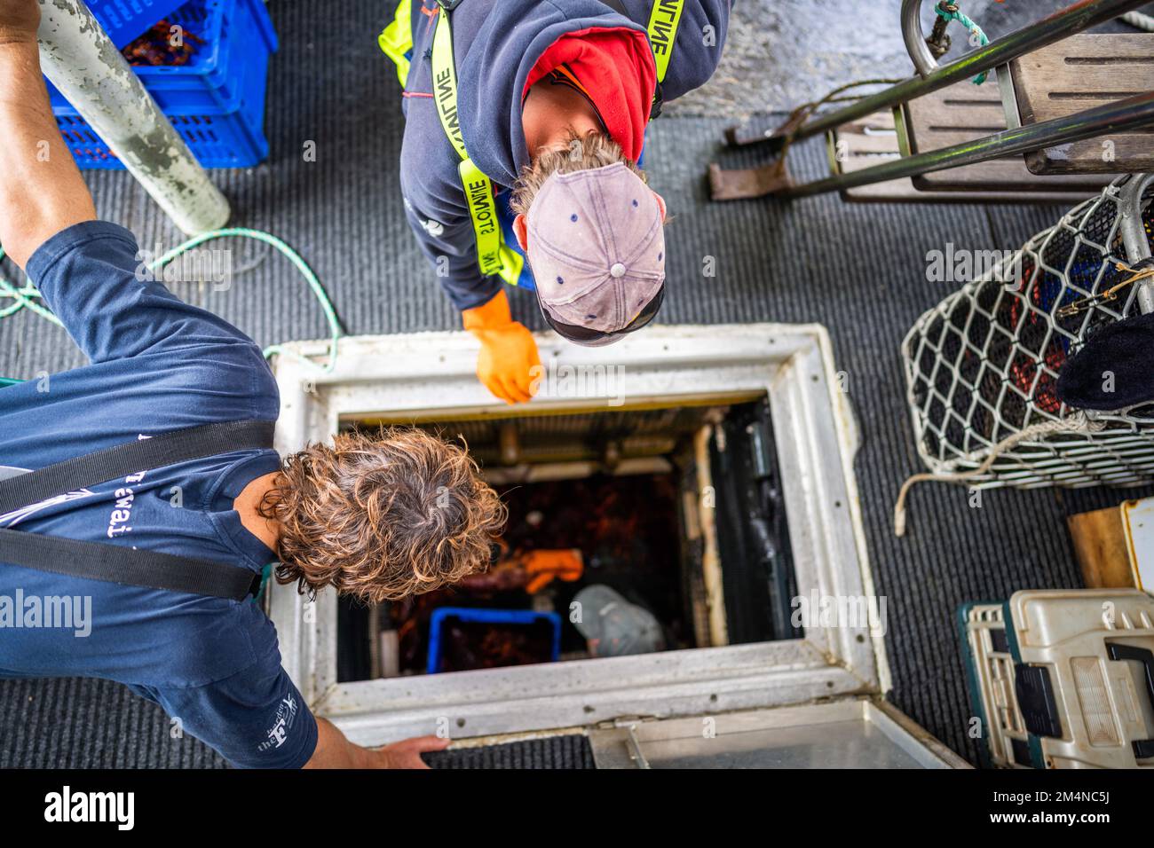 unloading a fishing boat and using scales to weight lobster. Catching
