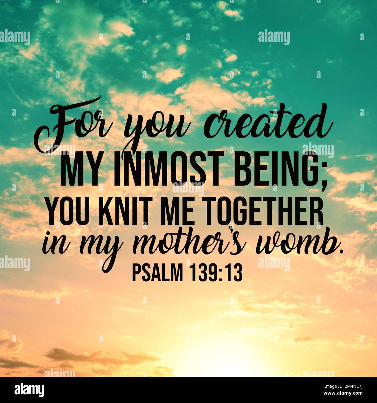 Psalm 13913 For you created my inmost being; you knit me together in