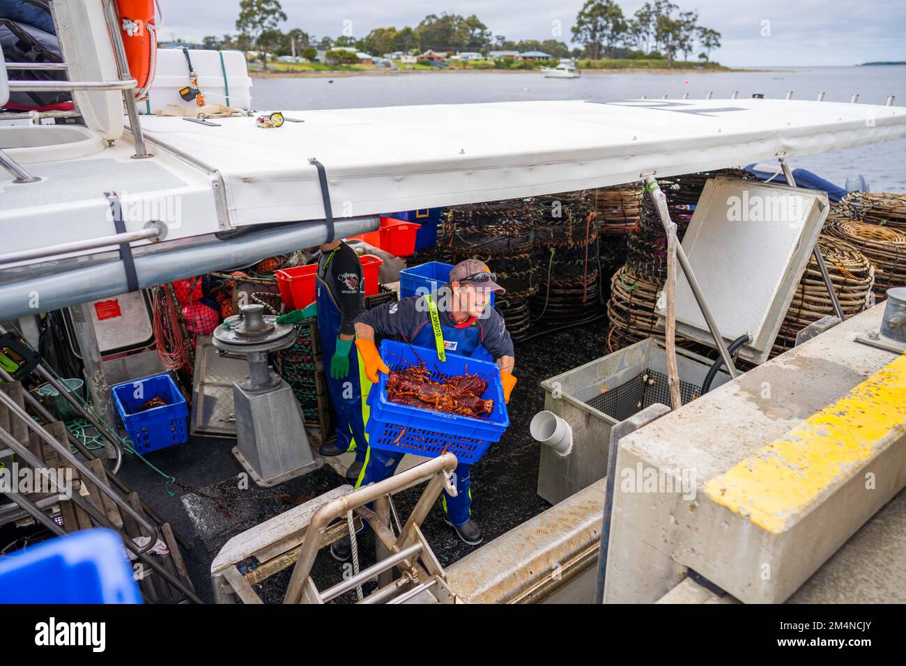 unloading a fishing boat and using scales to weight lobster. Catching