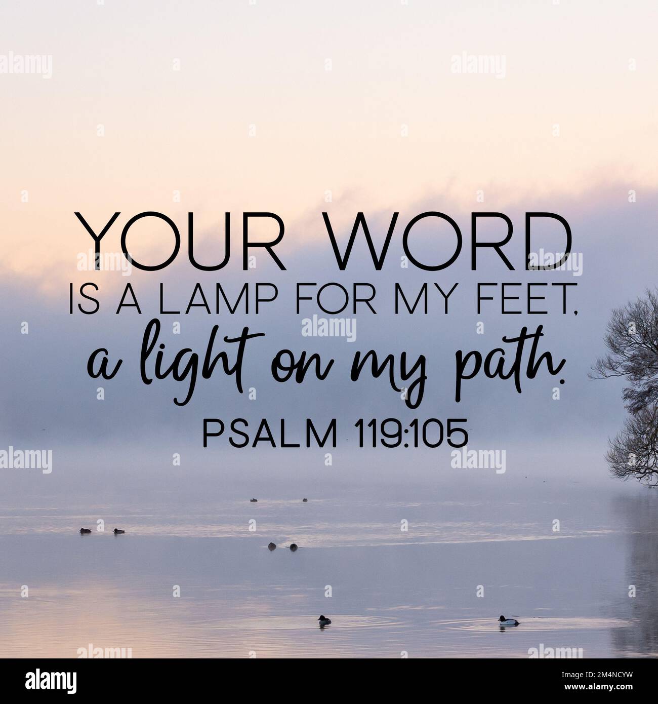 Psalm 119:105 Your word is a lamp for my feet, a light on my ...