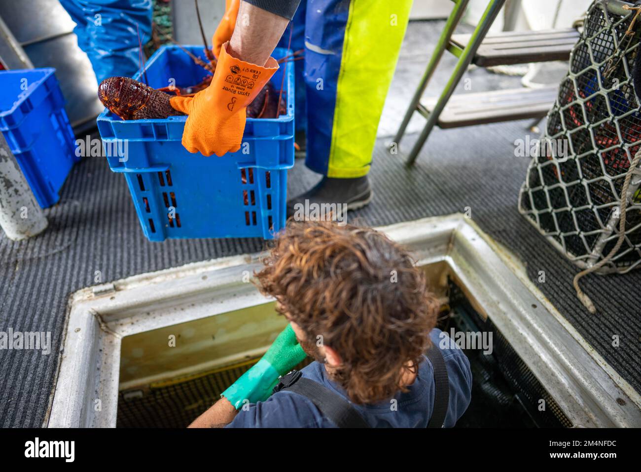 working on a lobster fishing boat in america in australia Stock Photo ...