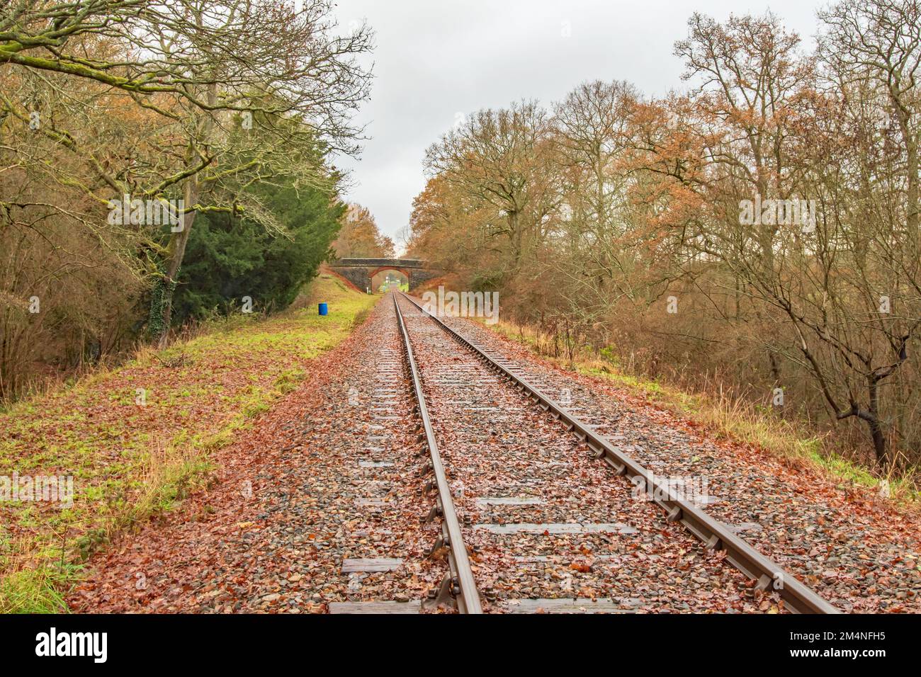 A look along the empty single line rural rail track in East Sussex England on a colourful leaf strewn Autumn day Stock Photo