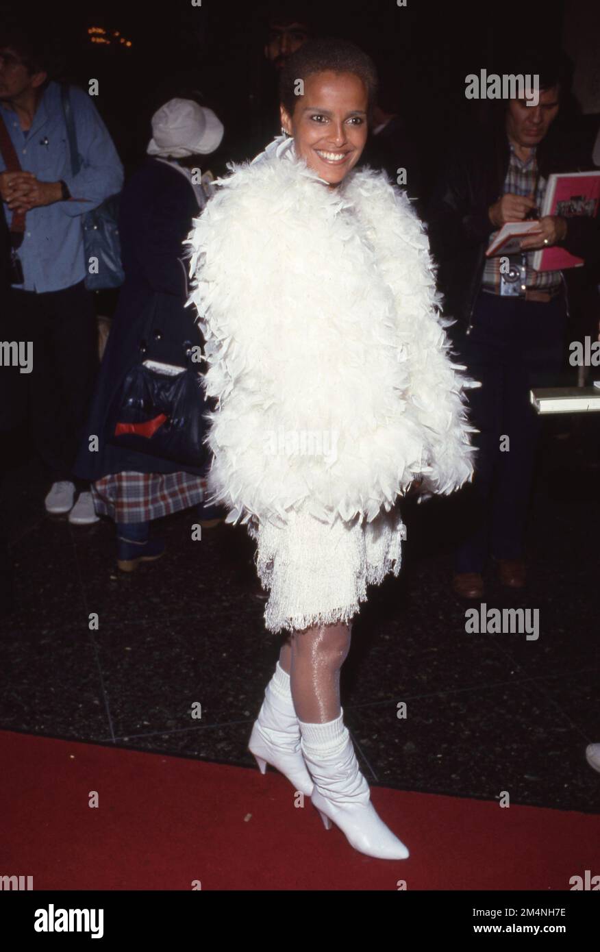 Shari Belafonte 1985 Credit: Ralph Dominguez/MediaPunch Stock Photo - Alamy