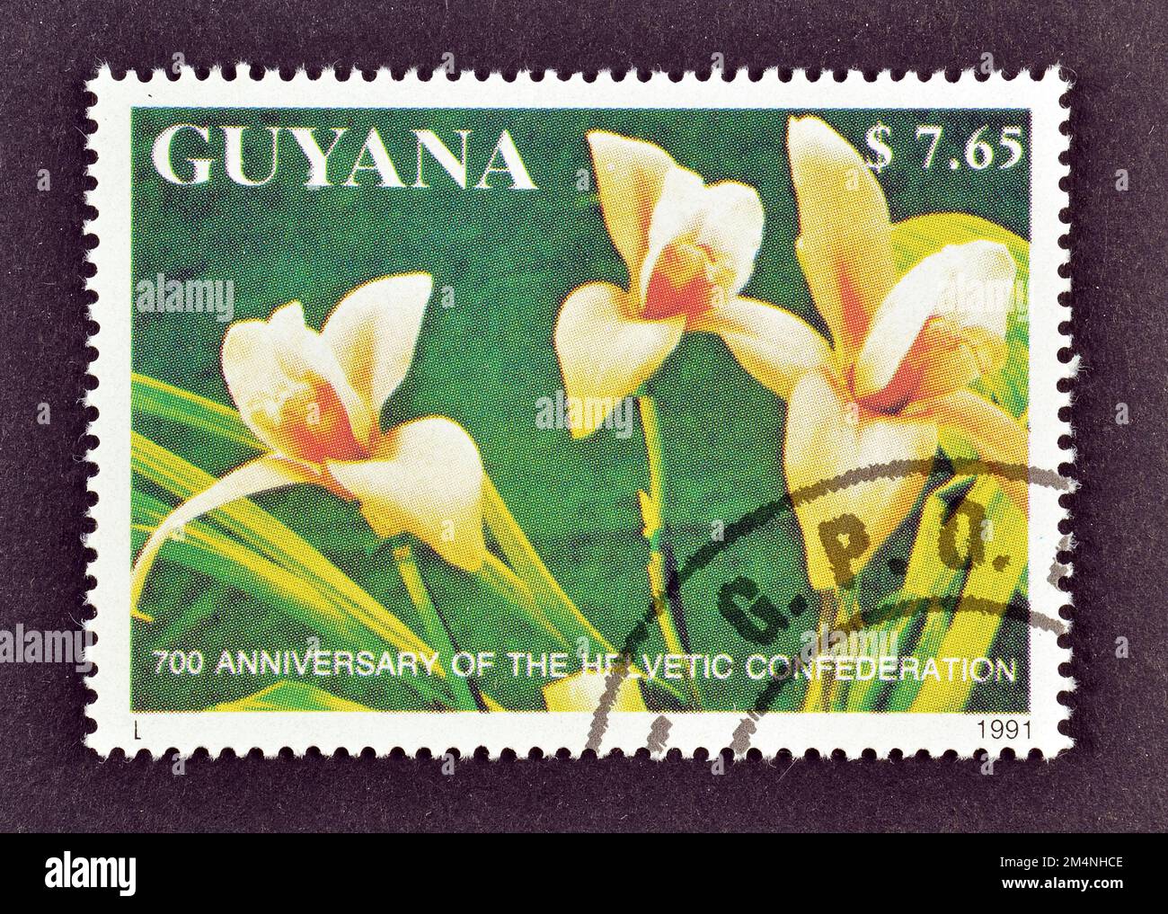 Cancelled postage stamp printed by Guyana, that shows White Nun Orchid (Lycaste virginalis), circa 1991. Stock Photo