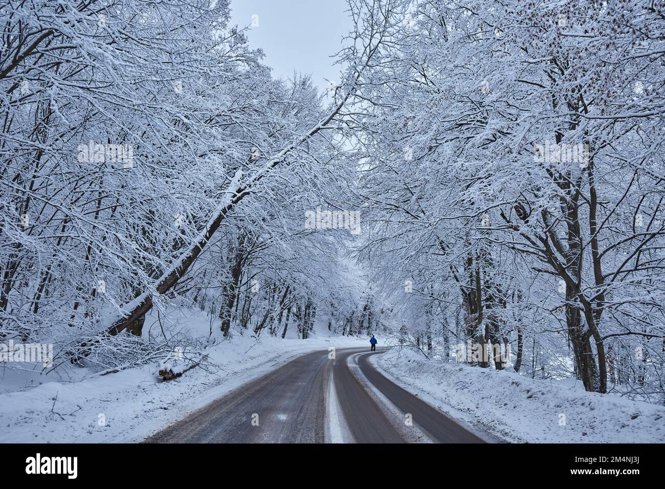 Winter landscape with a road covered in snow through the mountain ...