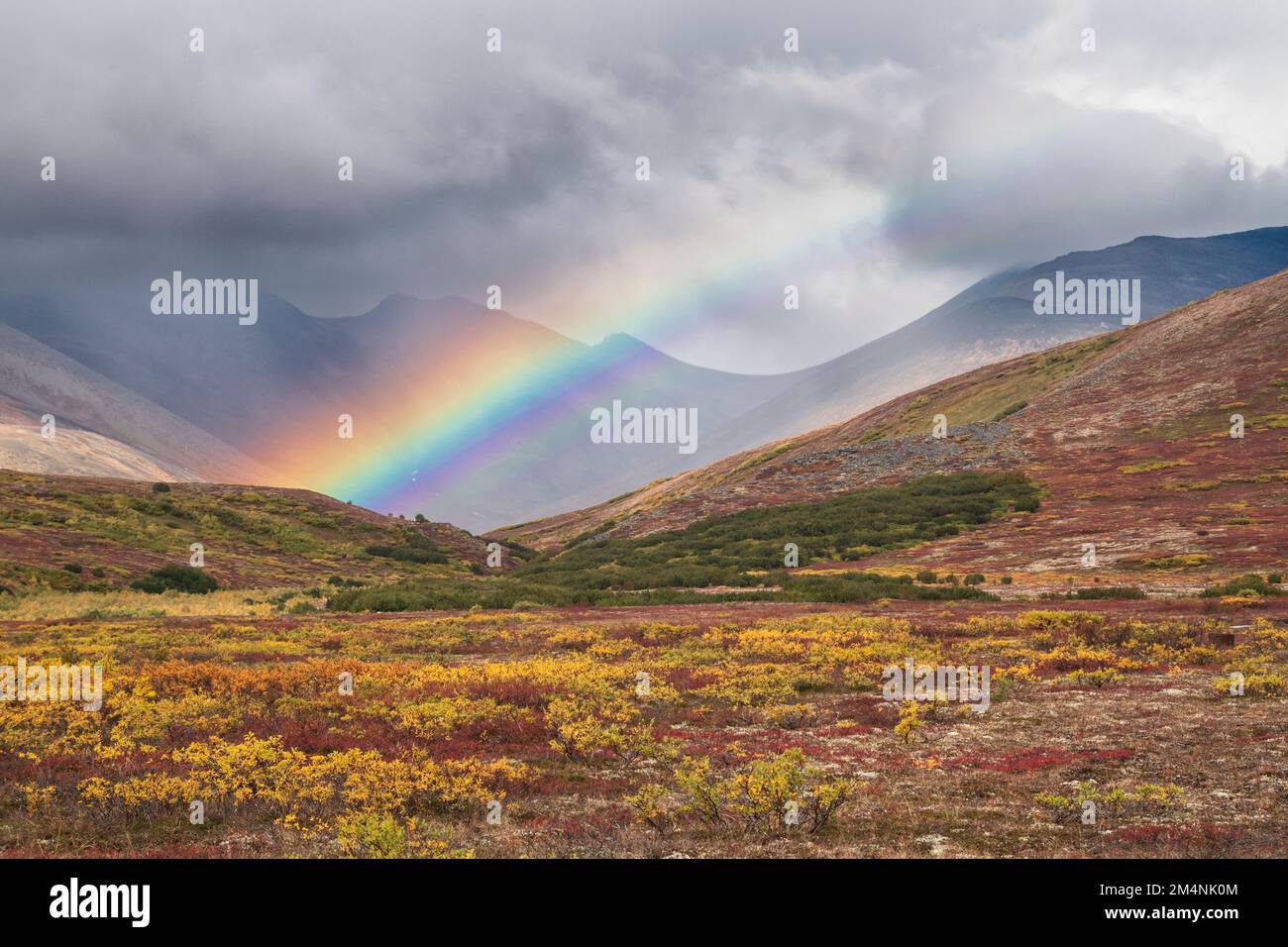North America; United States; Alaska; Seward Peninsula; Tundra; Autumn