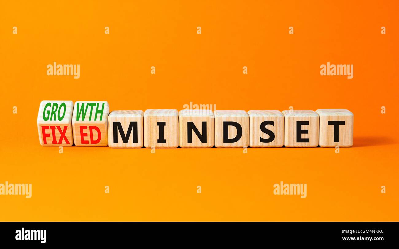 Growth or fixed mindset symbol. Concept words Growth mindset and Fixed mindset on wooden cubes