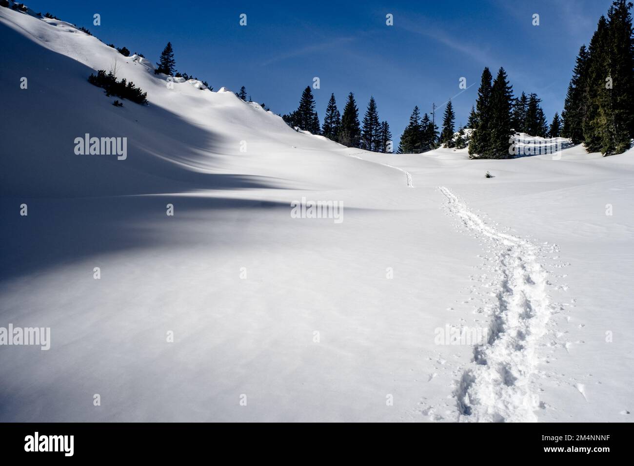 Fußspuren im Schnee Stock Photo - Alamy