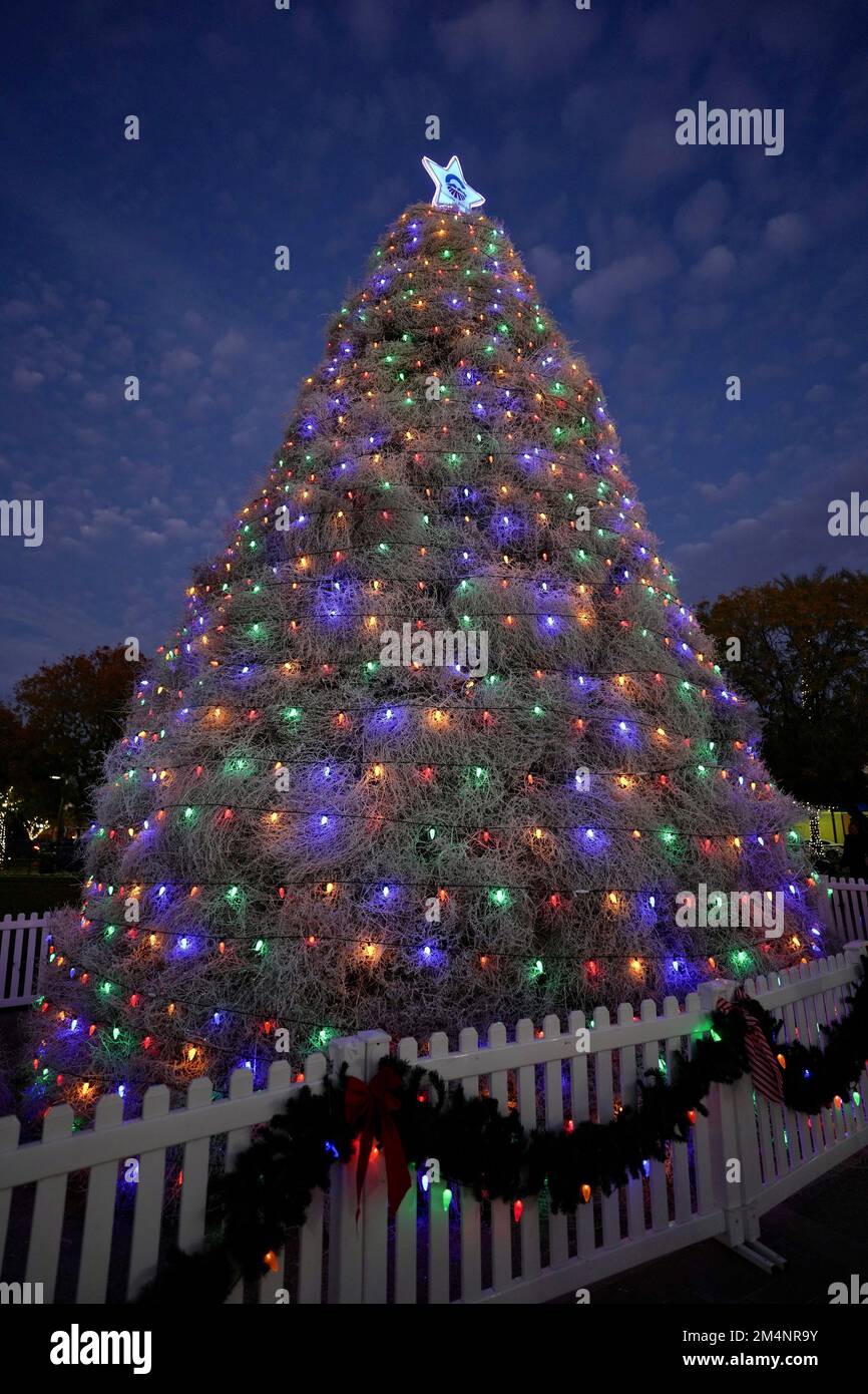 A Christmas tree made of tumbleweed wrapped in colorful lights and