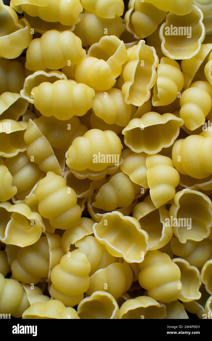 Flat lay of uncooked Gnocchetti pasta shells, top view of gnocchi pasta shells, dry uncooked macaroni Stock Photo