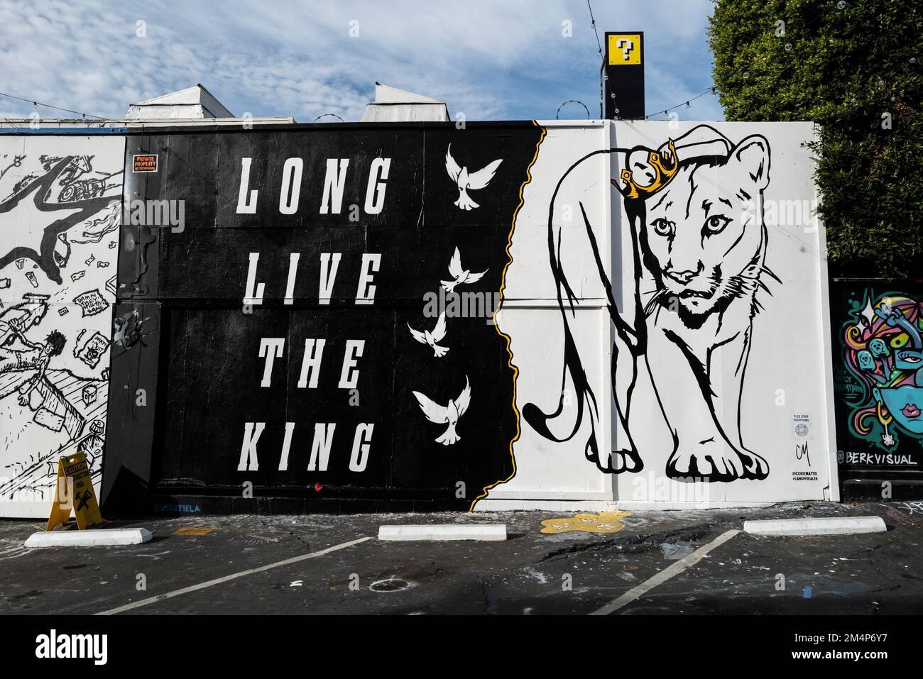 Los Angeles, USA. 22nd Dec, 2022. A mural dedicated to P-22, a wild mountain lion living in the Hollywood Hills. P-22 was the beloved unofficial mascot of Los Angeles. This mural was painted by artist Corie Mattie who encountered the mountain lion in the hills above LA. P-22 was euthanized earlier last week after suffering from injuries from getting hit by a vehicle. 12/22/2022 Los Angeles, CA., USA. (Photo by Ted Soqui/SIPA USA) Credit: Sipa USA/Alamy Live News Stock Photo