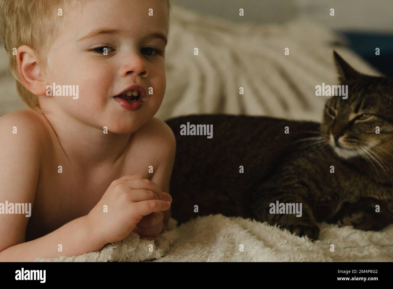Little boy playing with a cat on the bed Stock Photo
