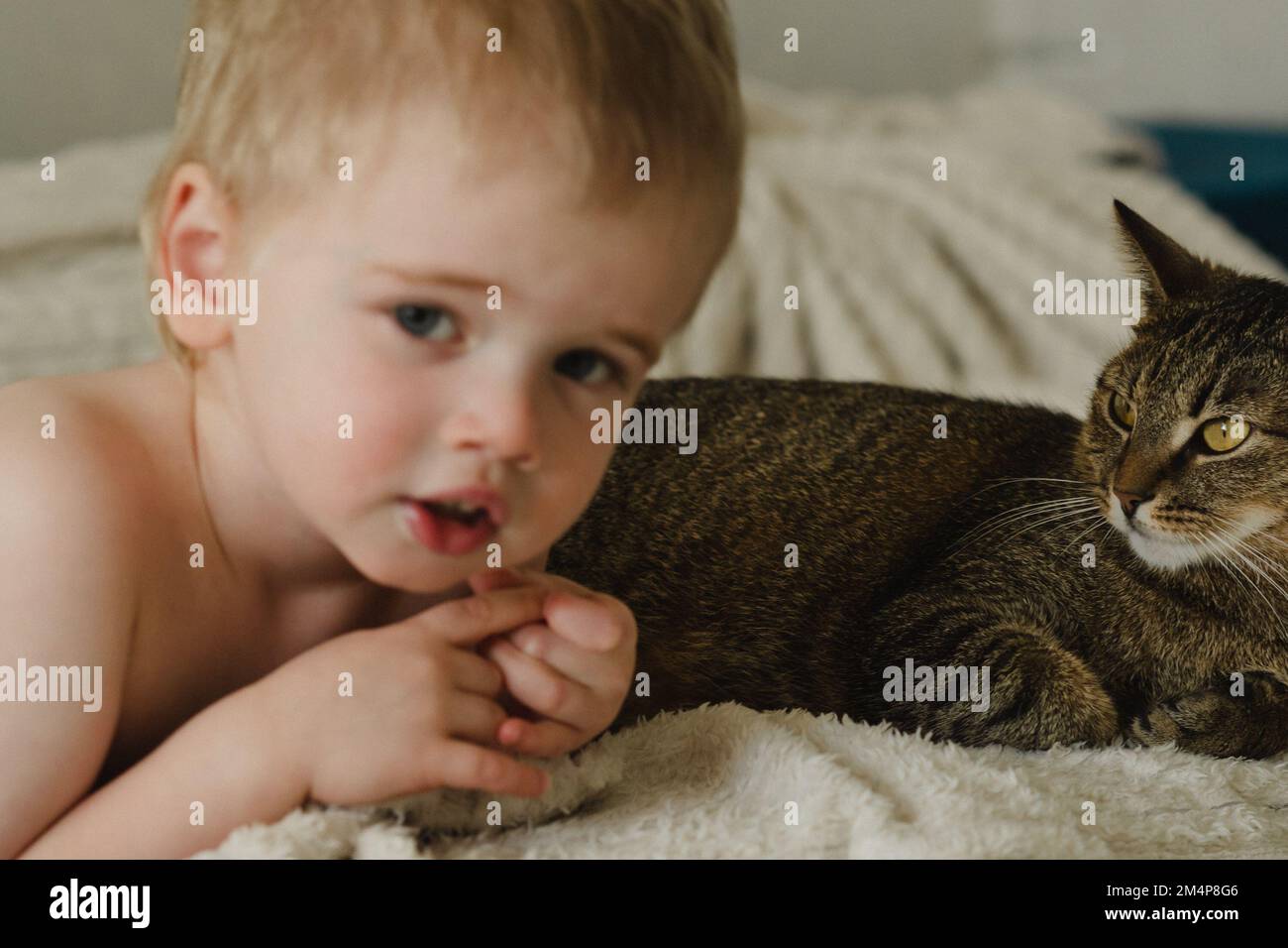Little boy playing with a cat on the bed Stock Photo