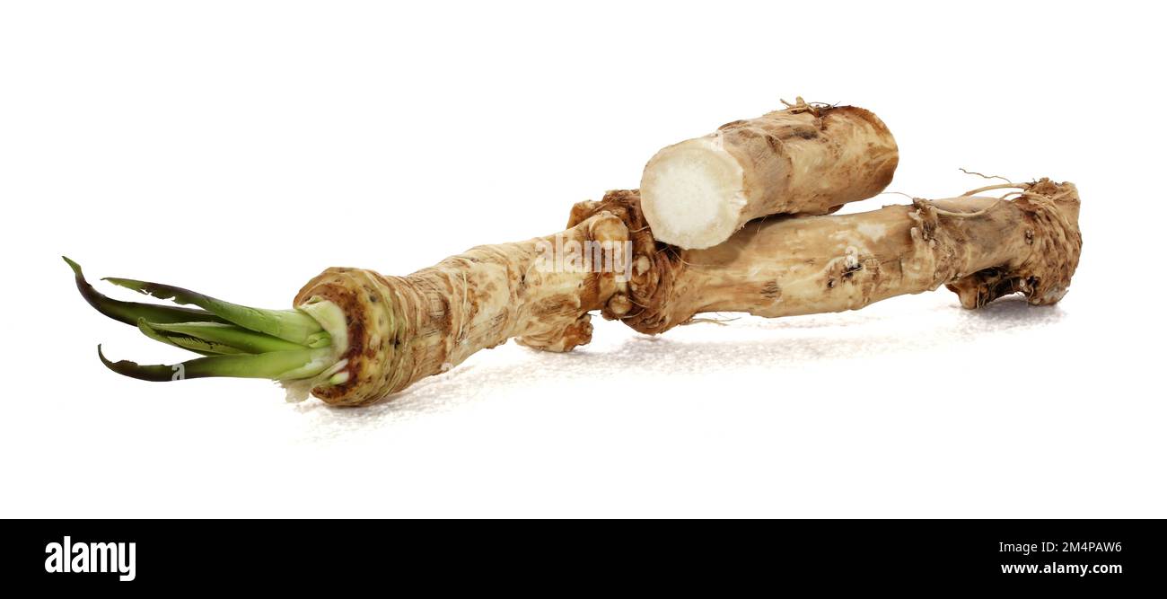 Full horseradish root isolated on white background Stock Photo