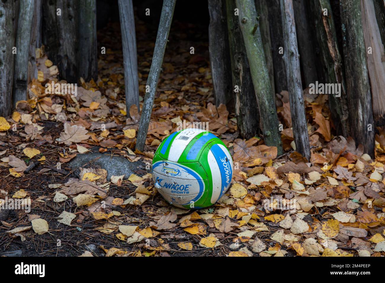 Abandoned broken volleyball on the ground with fallen leaves in autumn
