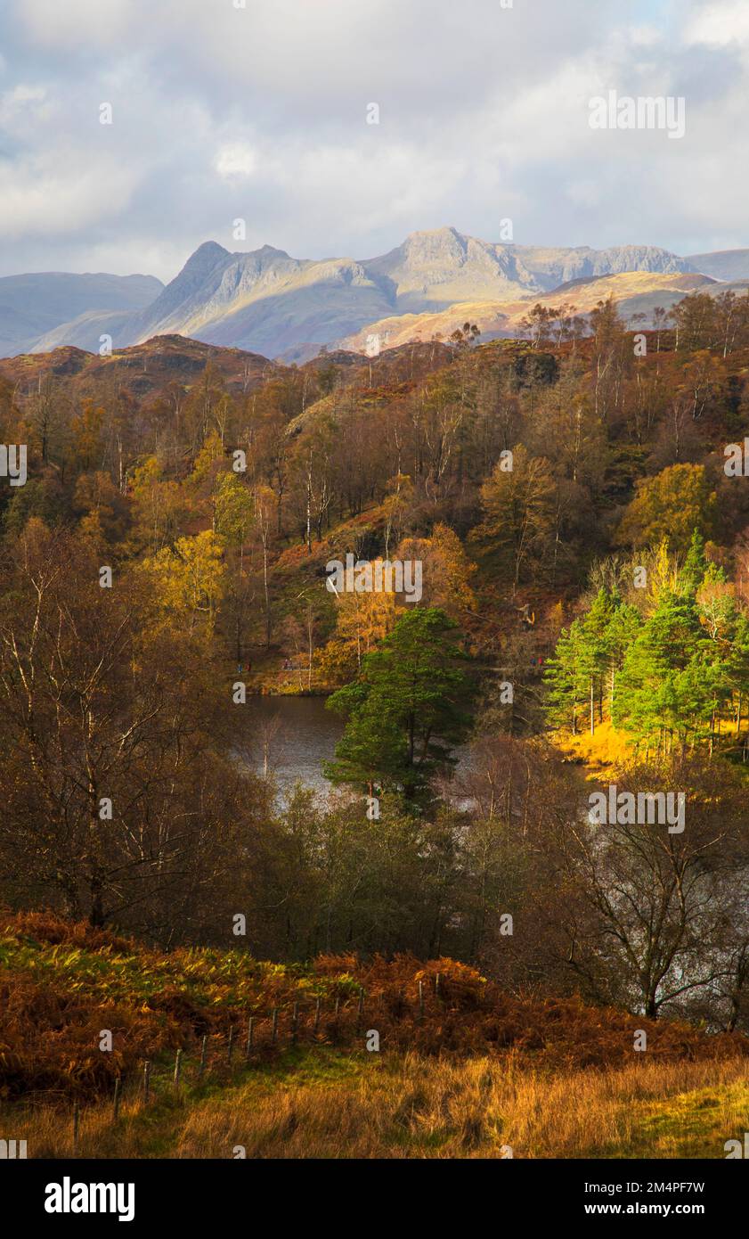 Tarn Hows in the Lake District Stock Photo