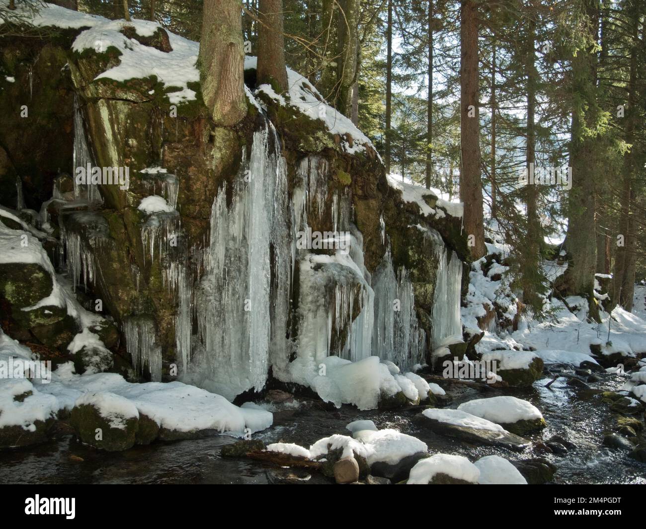 Icefall in the gorge of the Menzenschwander Alb, winter, St. Blasien, Black Forest, Germany Stock Photo