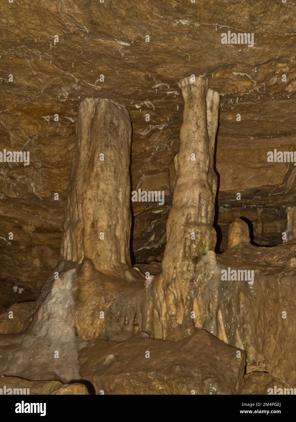 Stalagnate, sinter column, fog cave, dripstone cave, Swabian Alb, Baden-Wuerttemberg, Germany Stock Photo