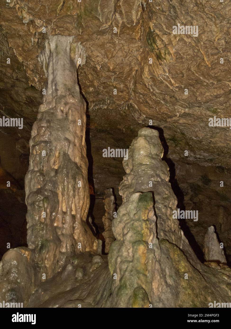 Stalagnate, sinter column, fog cave, dripstone cave, Swabian Alb, Baden-Wuerttemberg, Germany Stock Photo