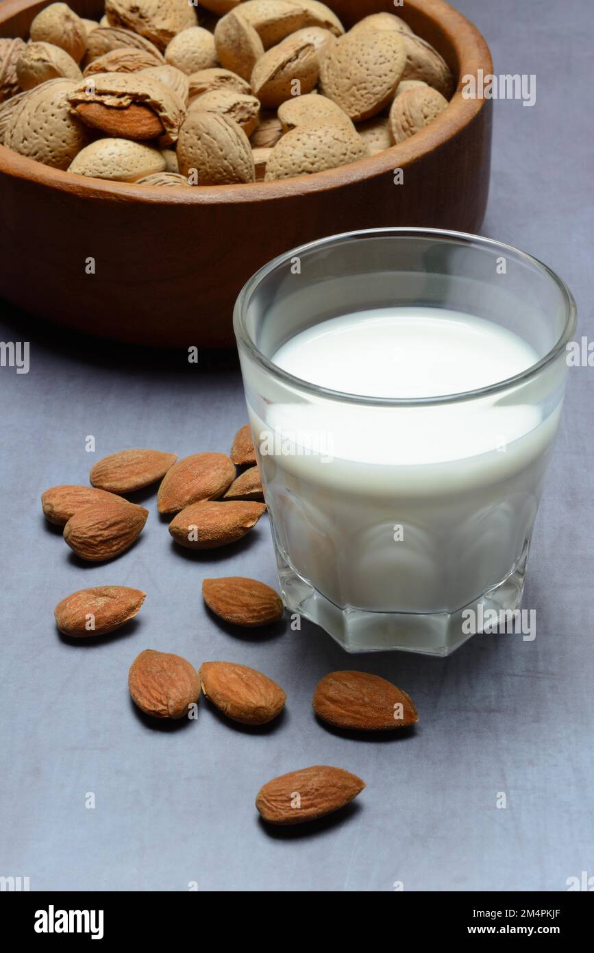 Almond, almonds and almond kernels in shell and glass Milk, almond tree (Prunus dulcis Stock