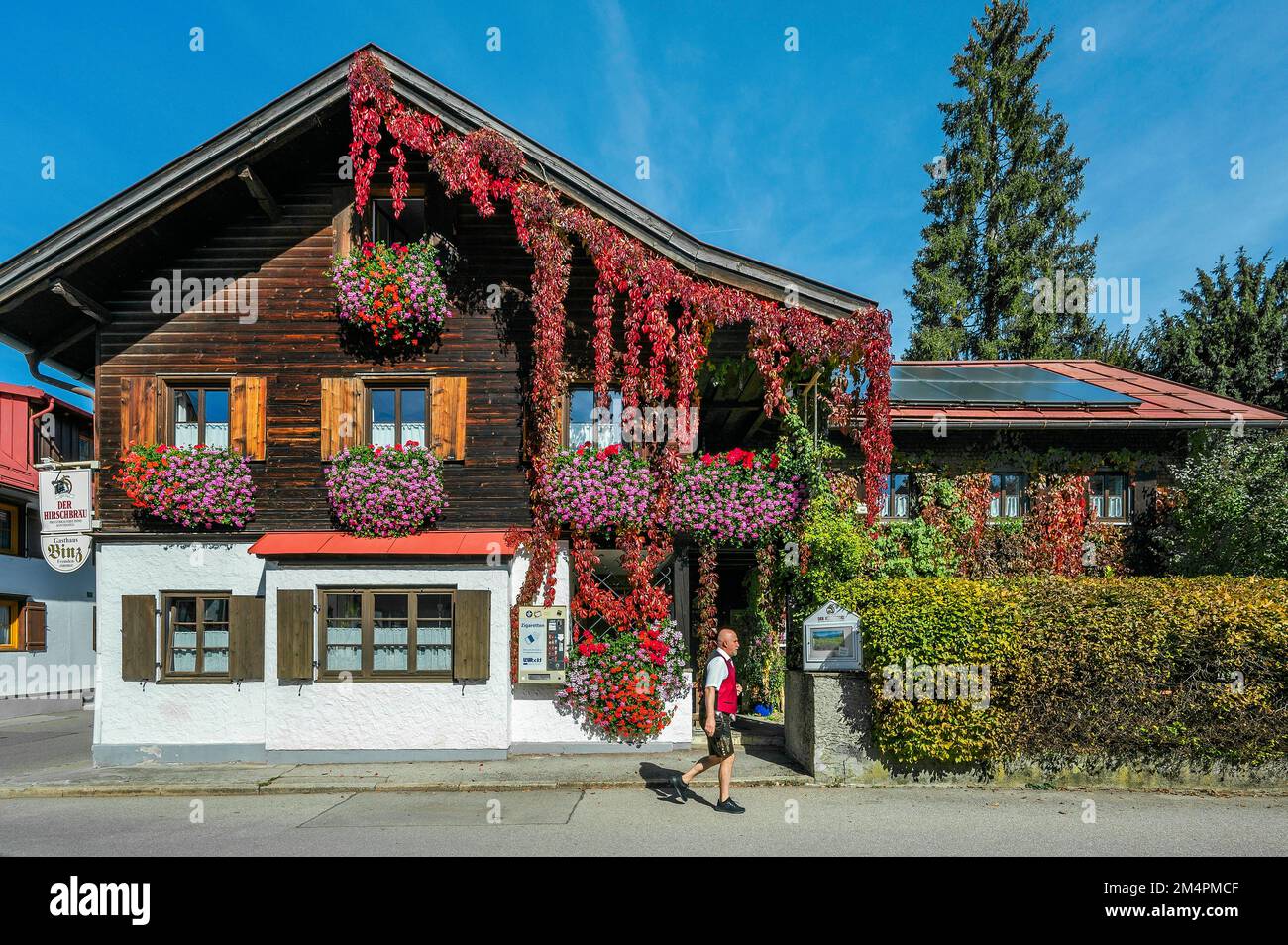 Wooden house with floral decoration and vegetation of widem vine