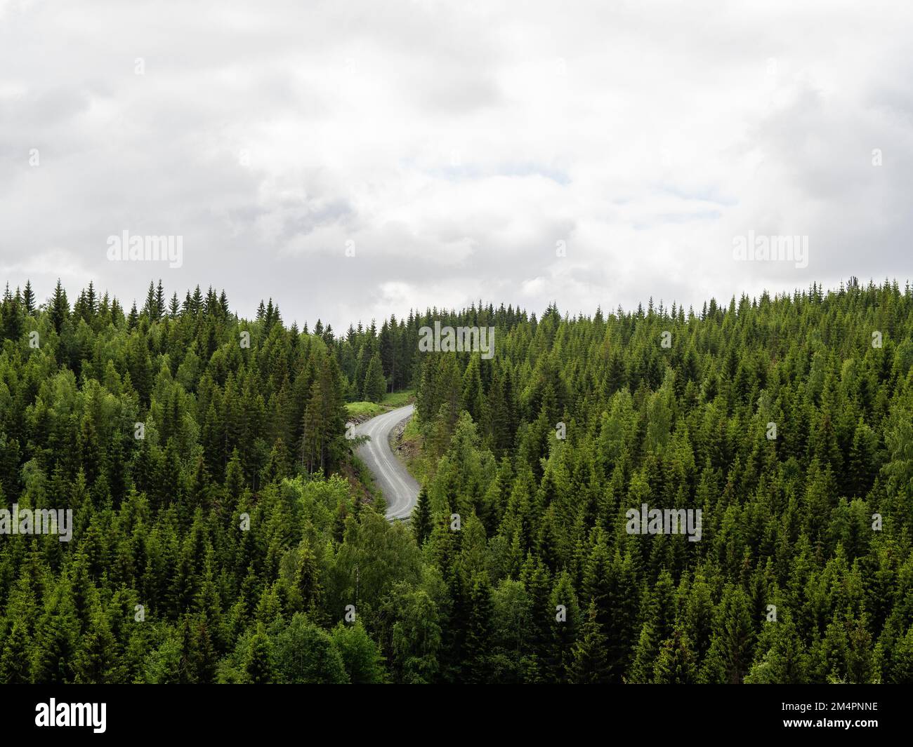 A view of a road on the top of a hill surrounded by tall trees. The Scandinavian pilgrimage is known as 'St. Olavsleden', and is a 580km route that goes from the Baltic Sea in the East to the Atlantic Ocean in the West, from Selånger in Sweden to Trondheim in Norway. This trail is the Scandinavian equivalent of the El Camino de Santiago de Compostela. Stock Photo