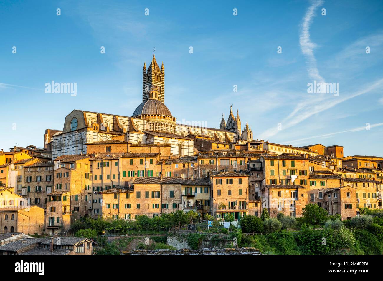 City view, old town with Duomo Santa Maria Assunta, Siena, Tuscany, Italy Stock Photo