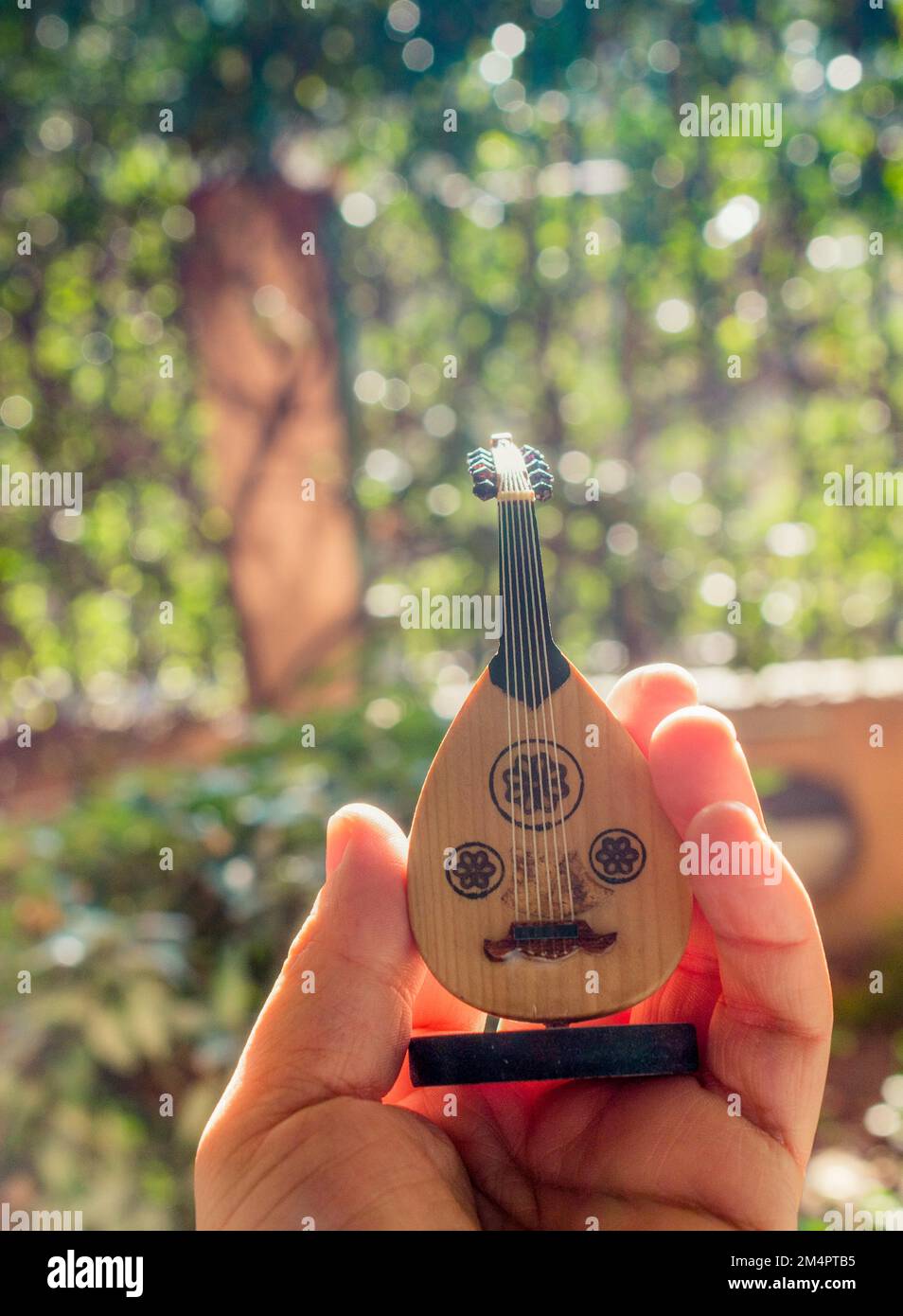 Classic stringed musical instrument Ud in view Stock Photo Alamy