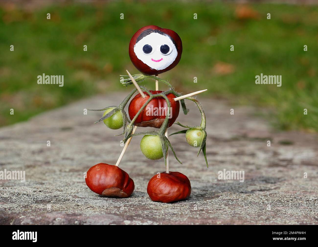 Cute chestnut figure with small tomatoes on wall, North Rhine-Westphalia, Germany Stock Photo