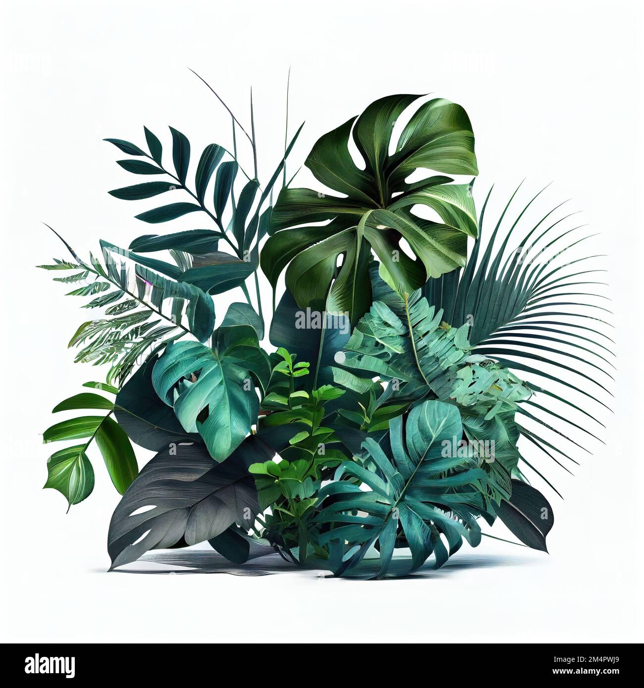 a bunch of green leaves on a white background with a white background