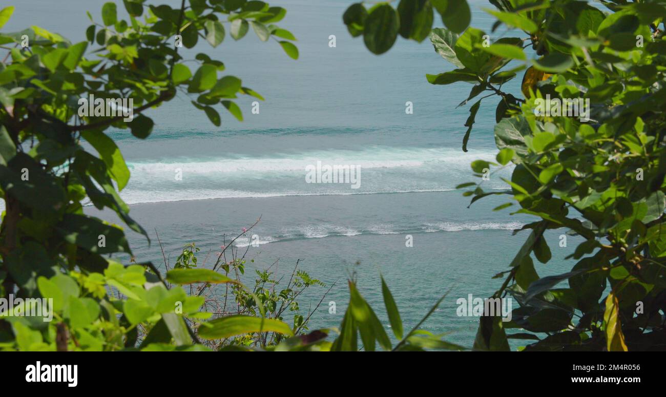 View through the green bushes to the azure sea. Green Bowl Beach in Bali Island. Ocean waves splash and crash on shore in slow motion. Surf spot in Stock Photo