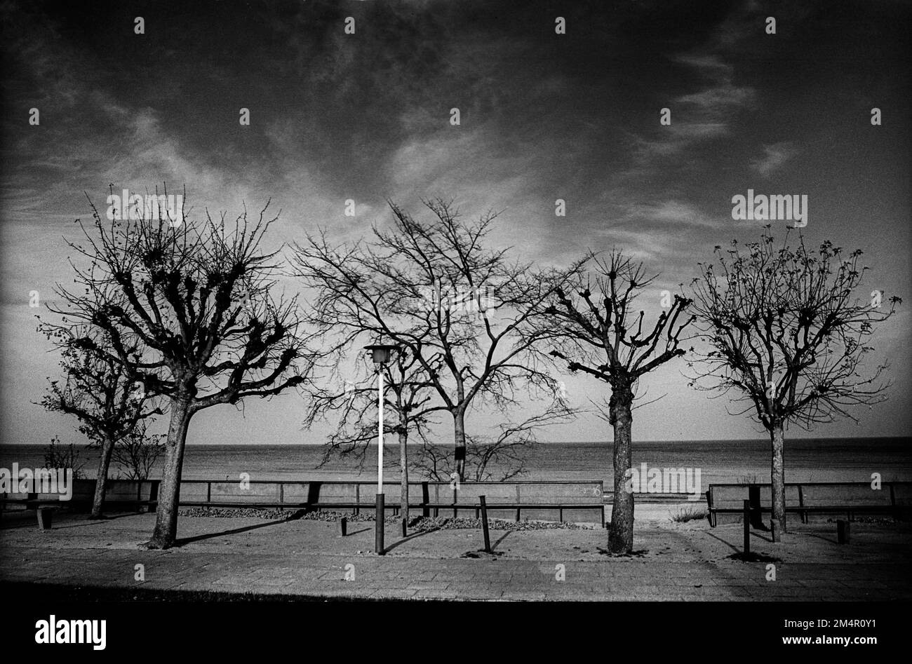 Central beach promenade Black and White Stock Photos & Images - Alamy