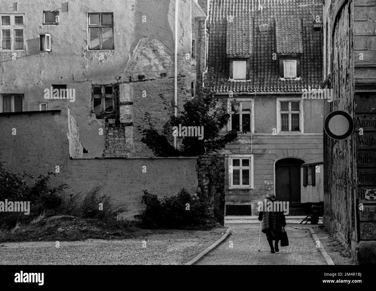 jobbörse stralsund
