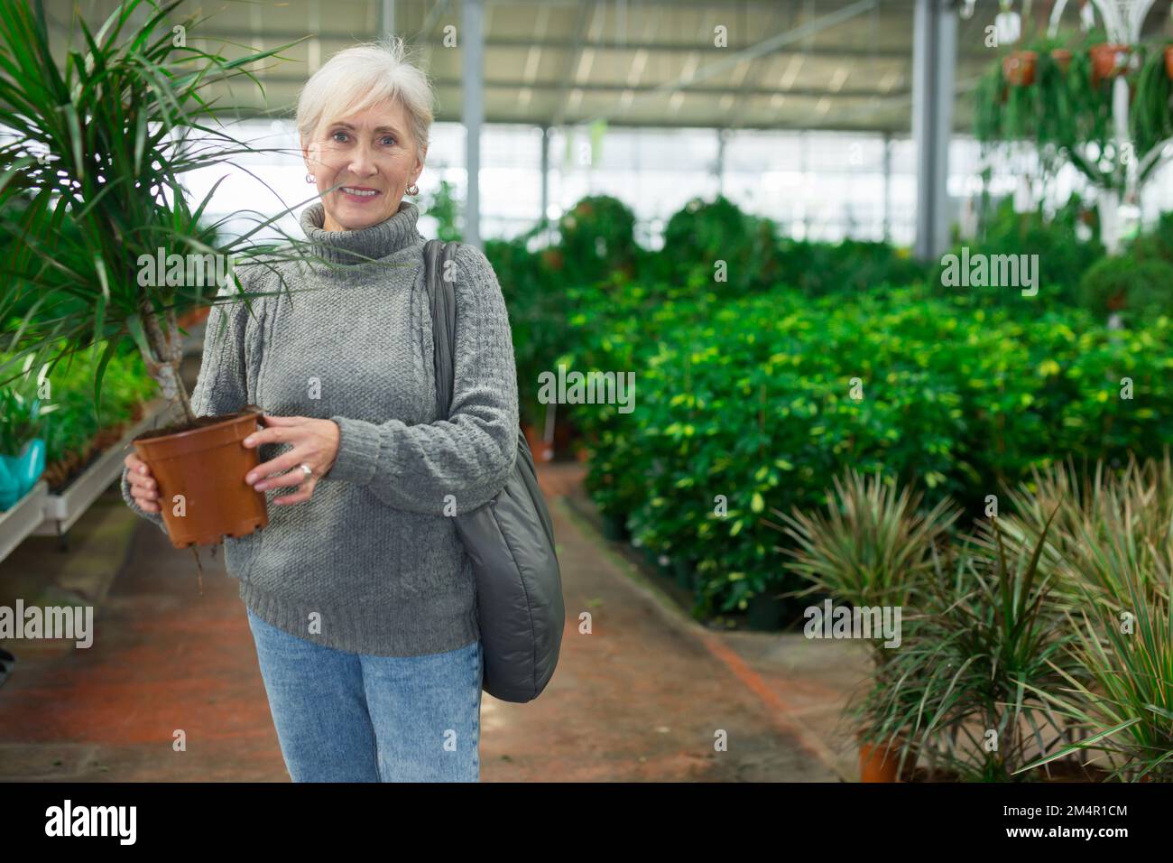 Elderly woman purchasing potted dracaena in garden store Stock Photo