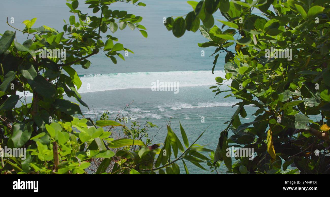 View through the green bushes to the azure sea. Green Bowl Beach in Bali Island. Ocean waves splash and crash on shore in slow motion. Surf spot in Stock Photo
