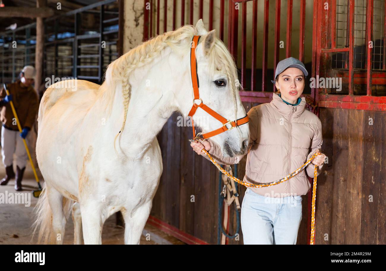 Portrait of young woman with a white horse in stable Stock Photo - Alamy