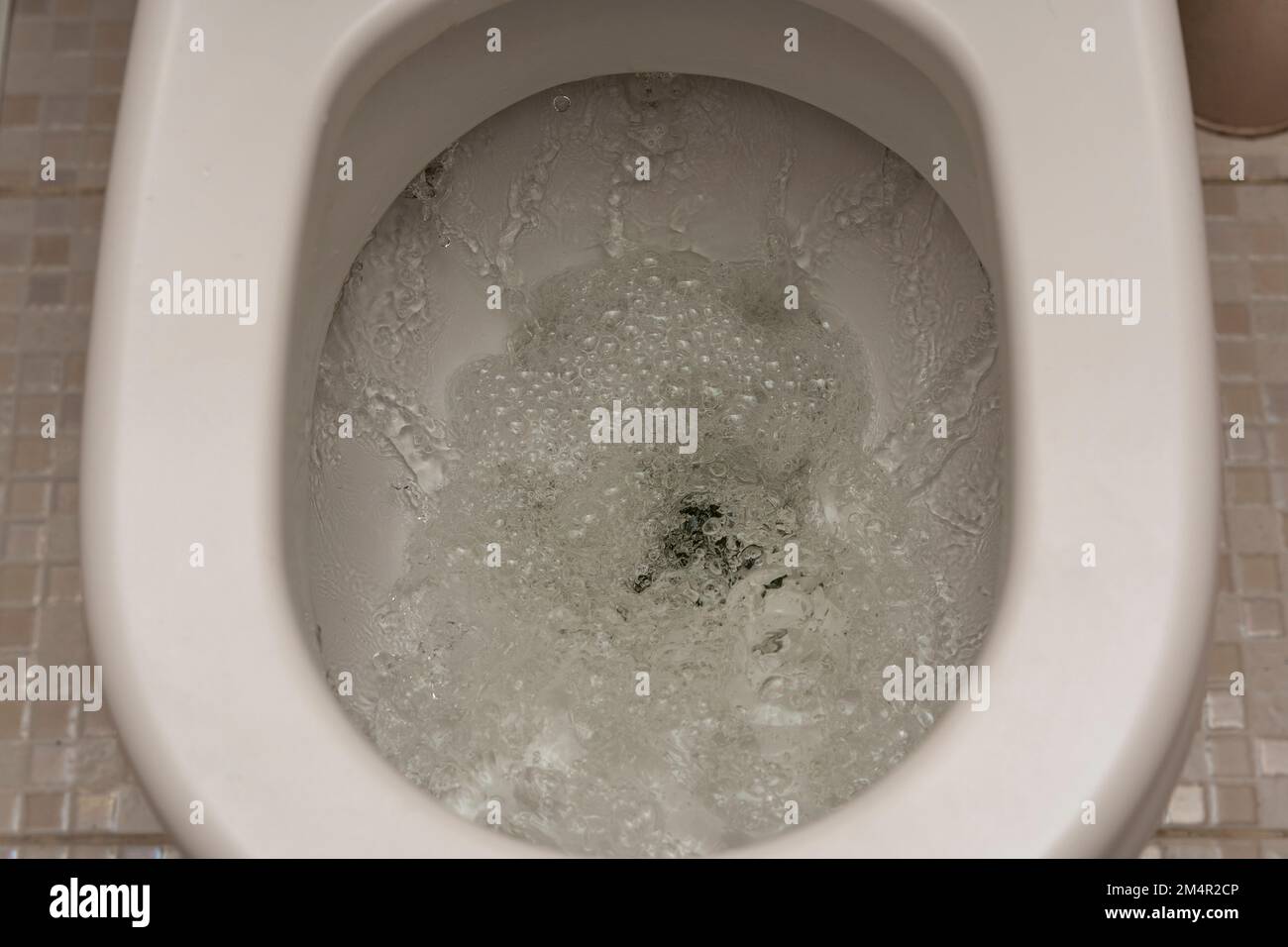 flushing the toilet. Toilet, Flushing Water. close up Stock Photo Alamy