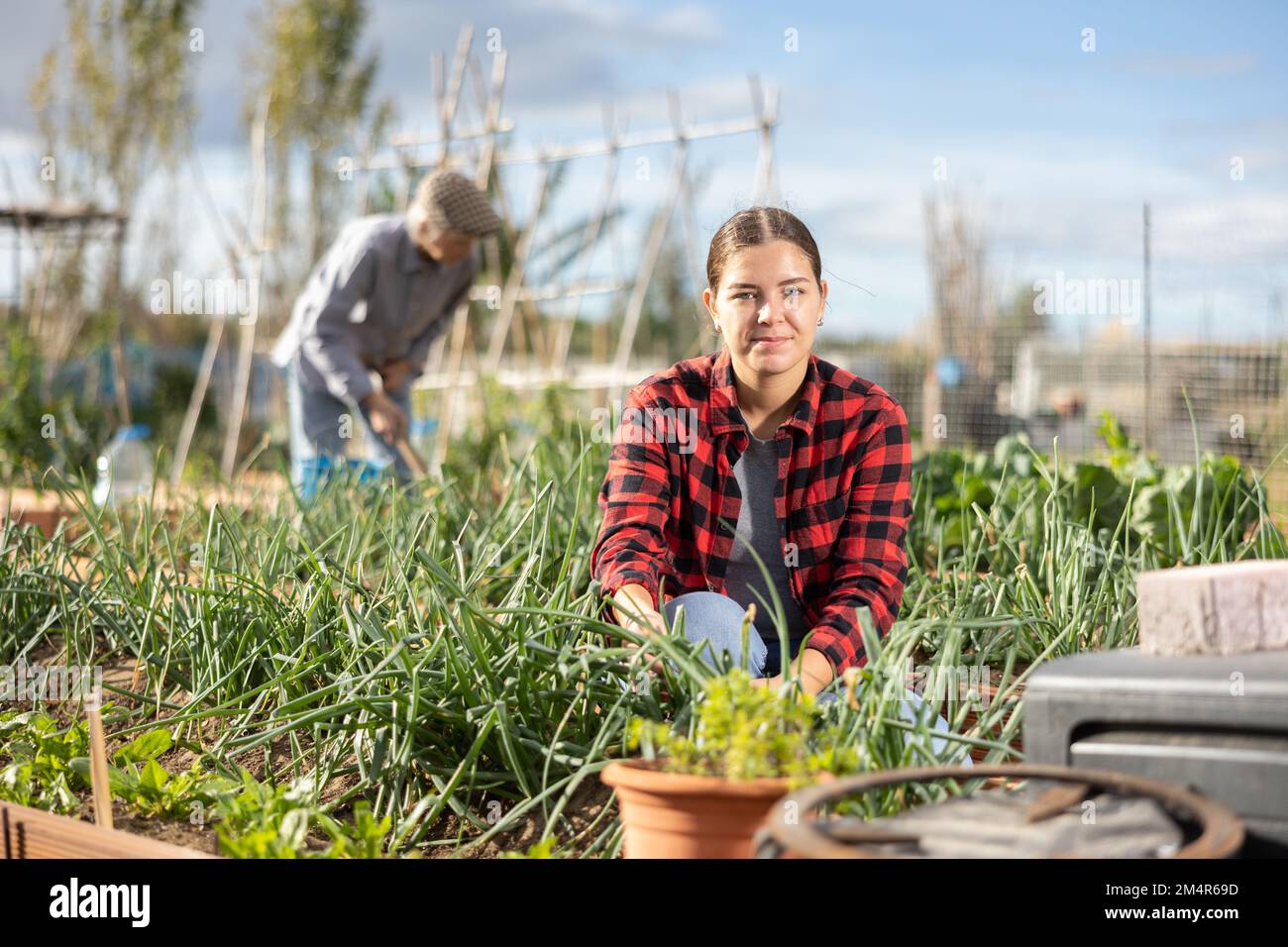 Woman farmer planting onions in hi-res stock photography and images - Alamy