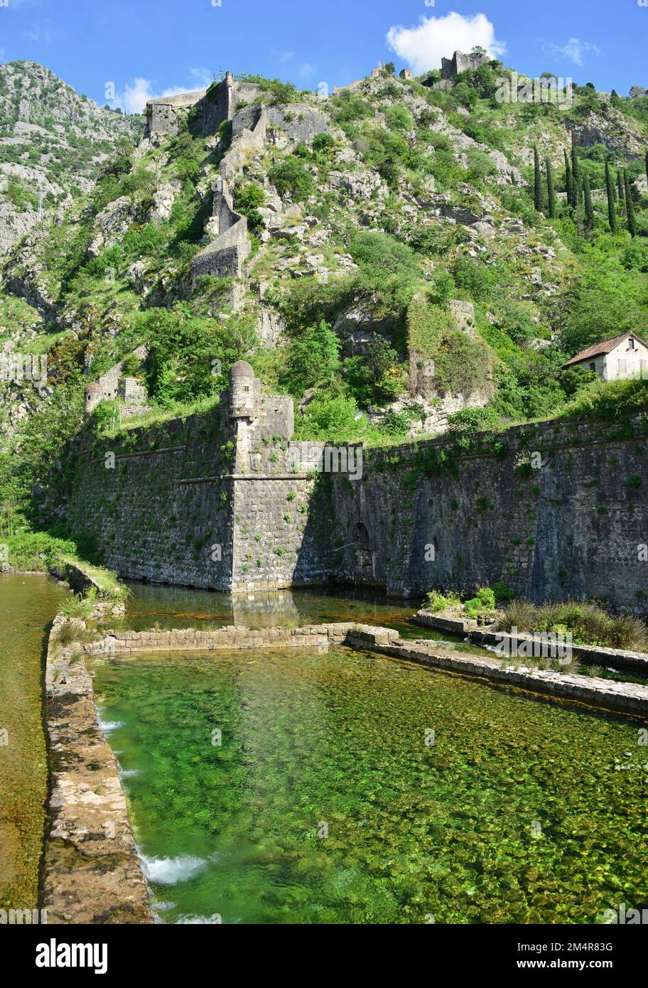 Kotor Bay is a series of inlets on the southern Dalmatian coast of the ...