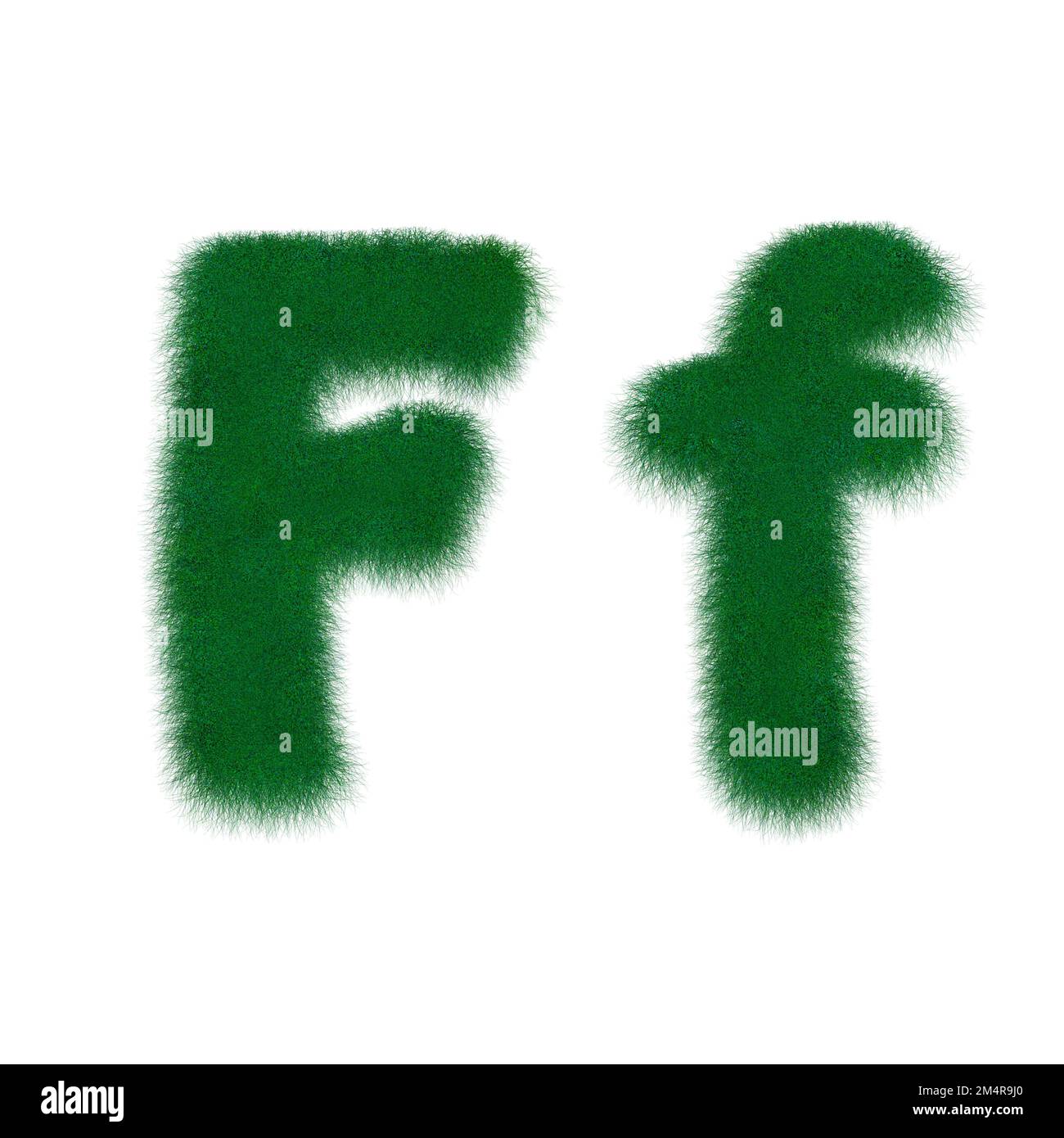 Moss letter stringy F Stock Photo