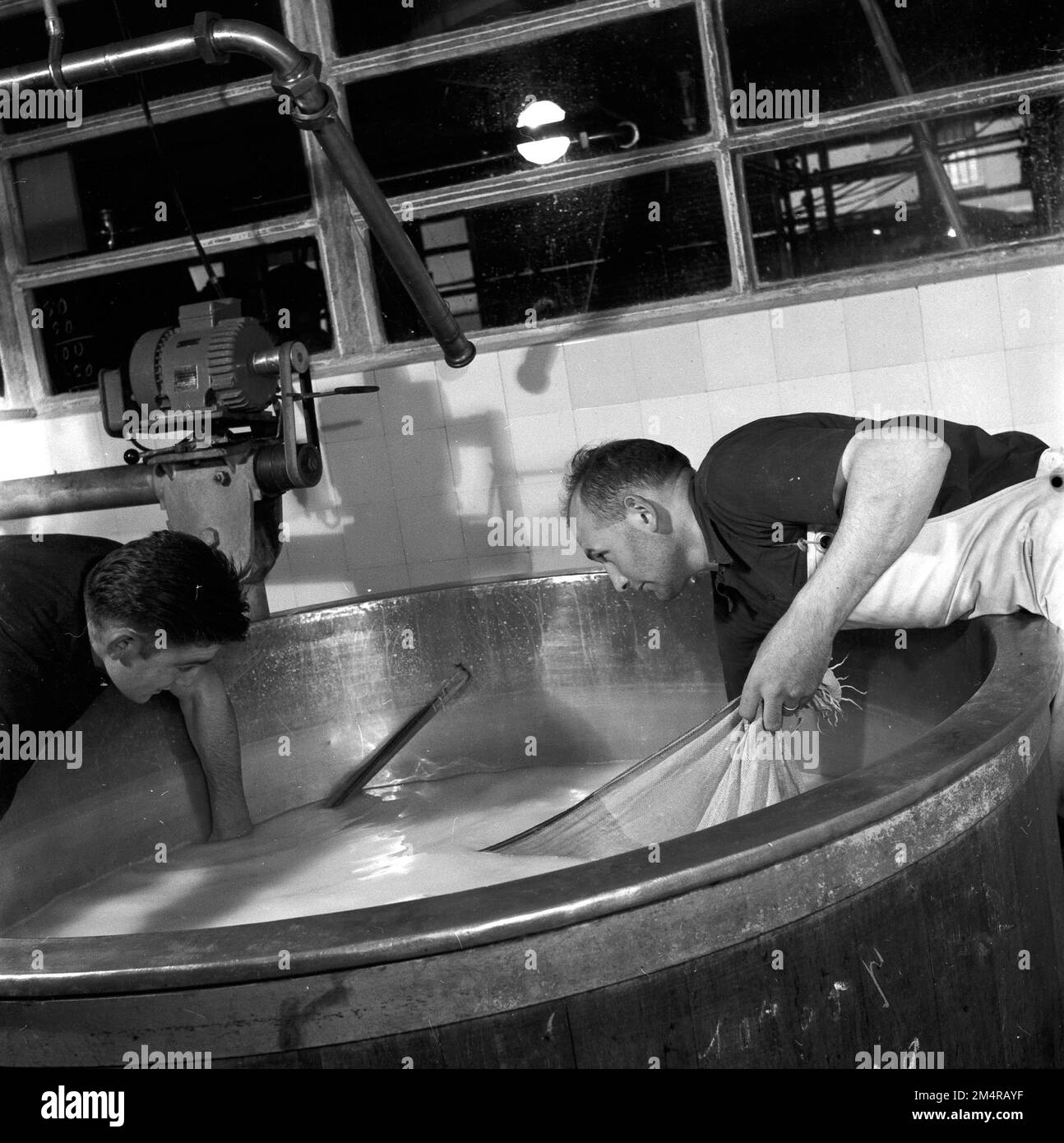 Le Man Stories Milk Plant, Cheese Making, Artificial Insemination