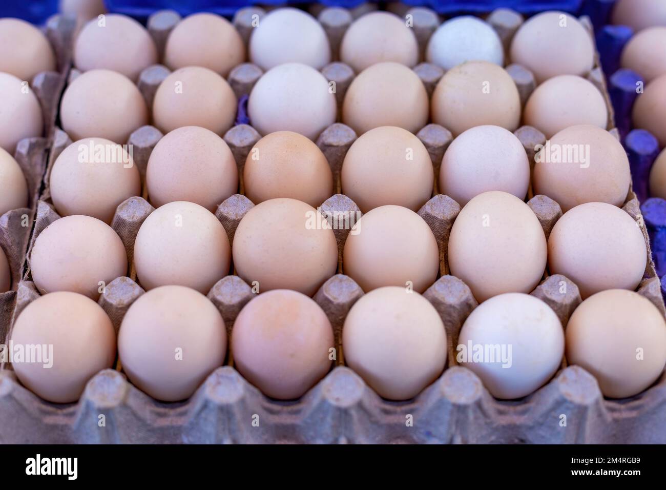 Village eggs sold in the market in Turkey Stock Photo