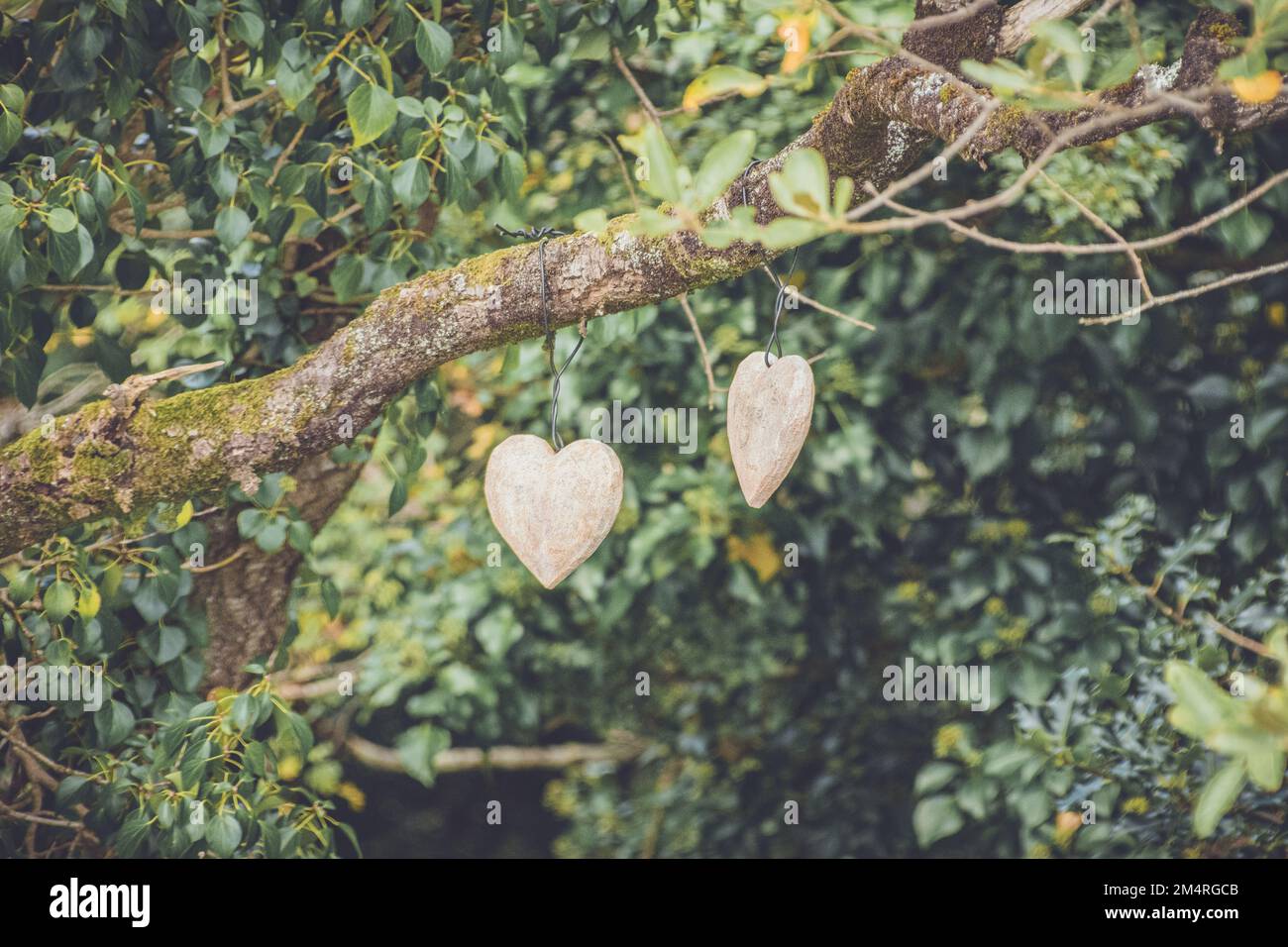Romantic scenery hearts hi-res stock photography and images - Alamy