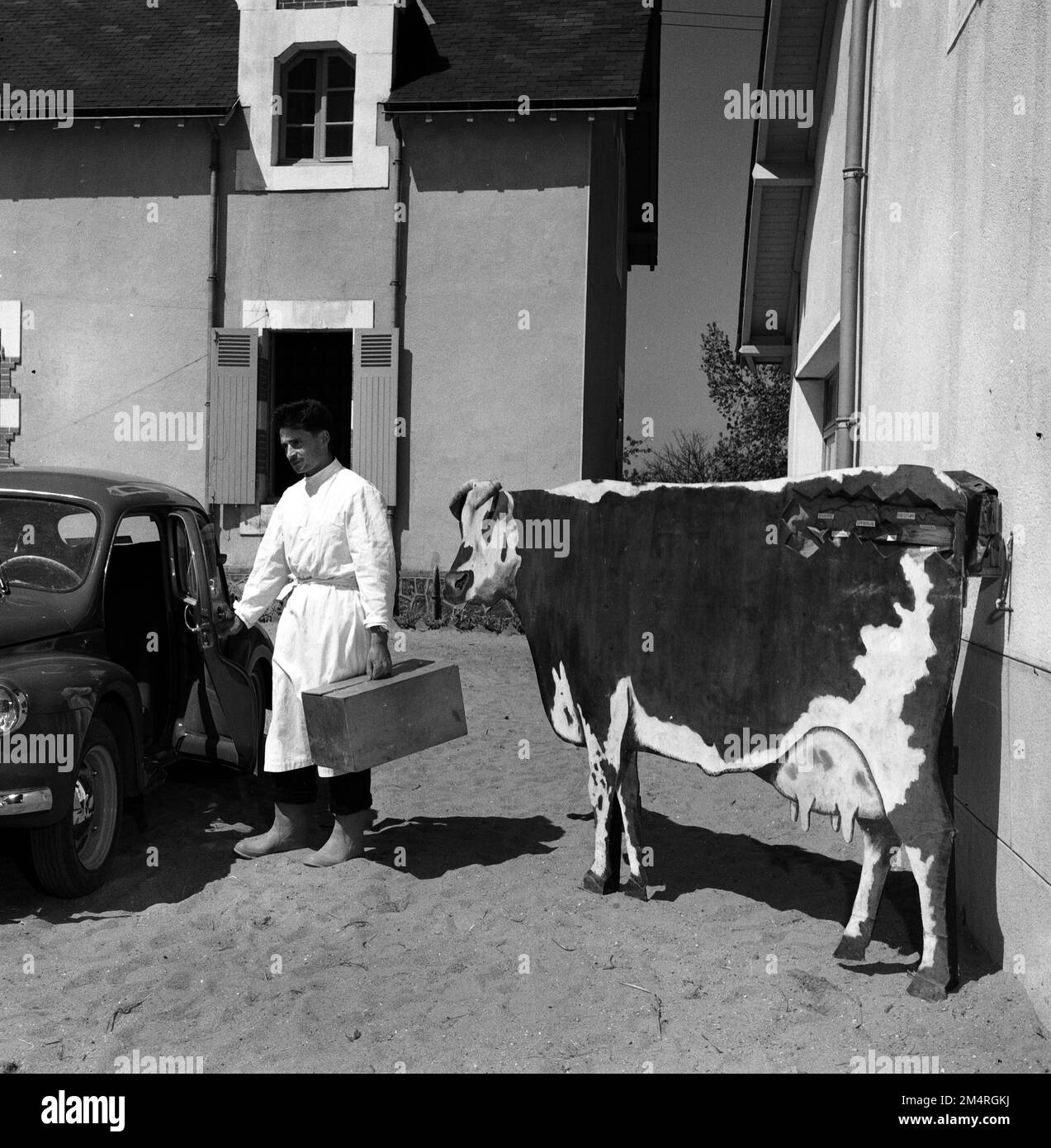 Artificial Insemination Center. Photographs of Marshall Plan Programs ...