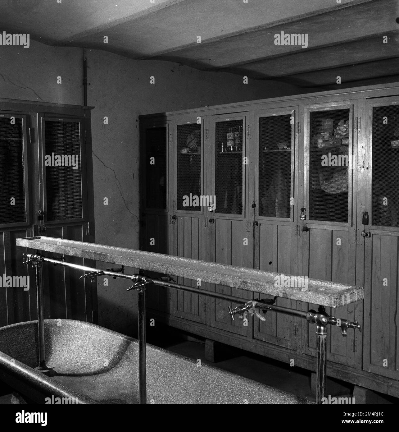 Le Man Stories Milk Plant, Cheese Making, Artificial Insemination