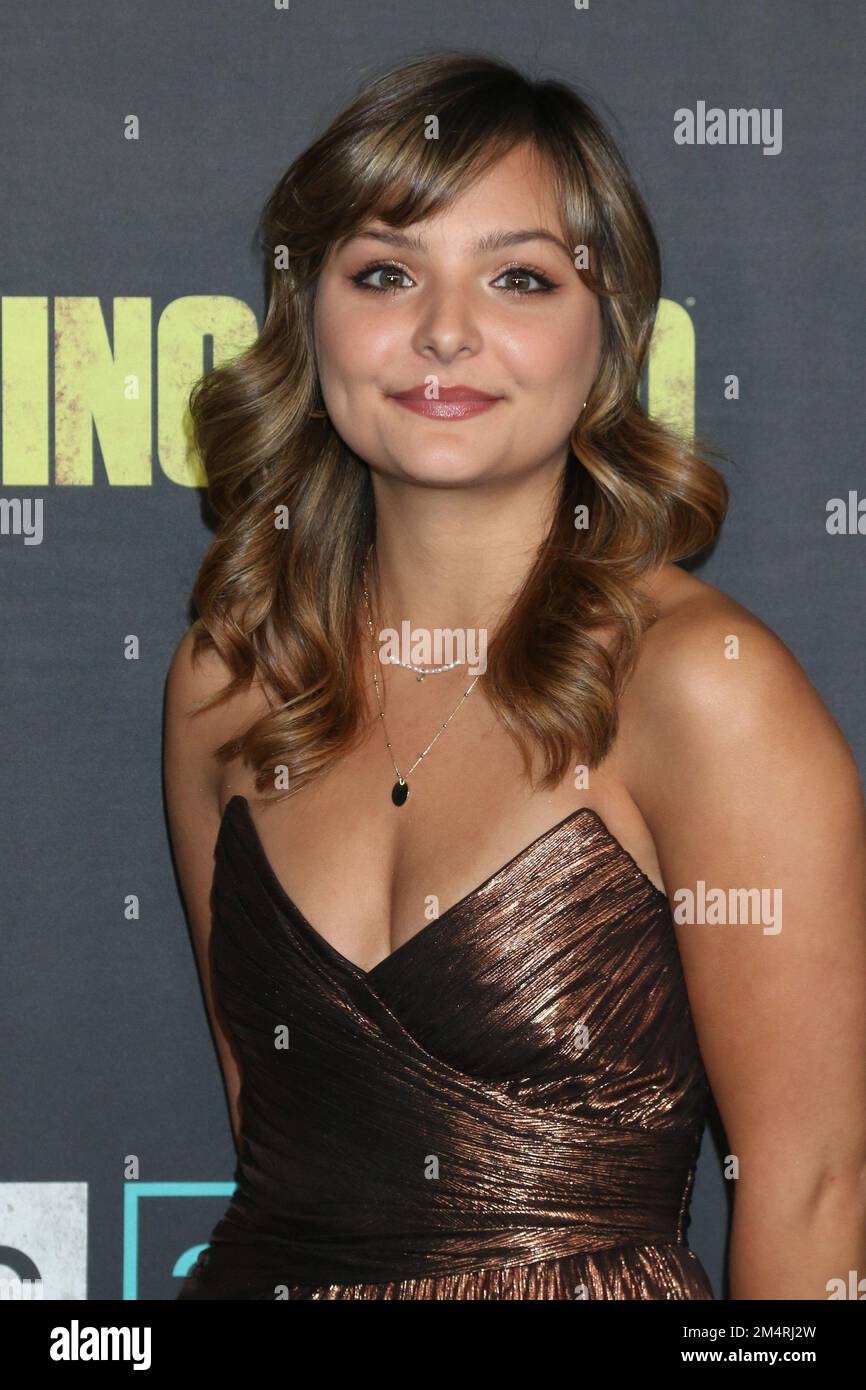 The Walking Dead Finale at the Orpheum Theatre on November 20, 2022 in ...